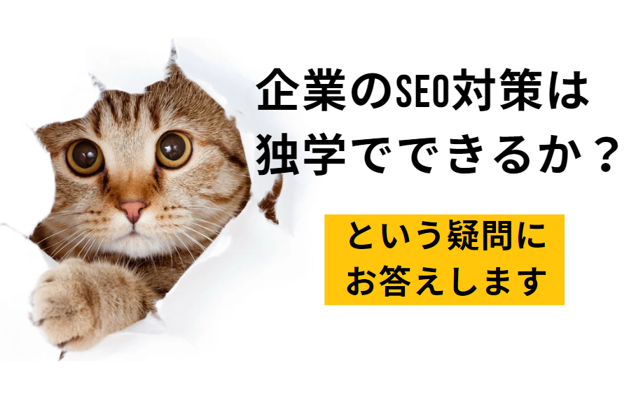 SEO対策独学